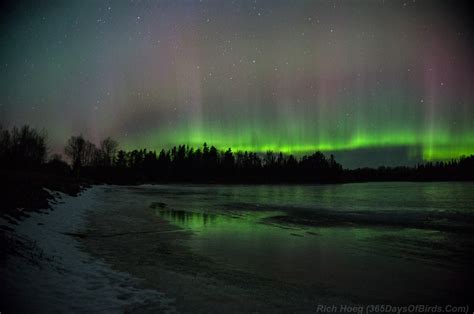 aurora borealis forecast northern minnesota